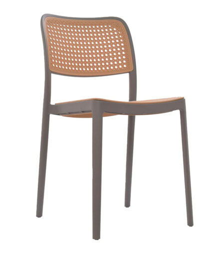 Silla Plástica PNE21